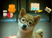 开云体育官方网站-当约基奇成为教科书，雷霆对阵北京队一役中的大师级表演