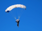 开云APP-东方巨龙对决北境之王，锡安压制级表现点燃上海与猛龙的跨洋之战