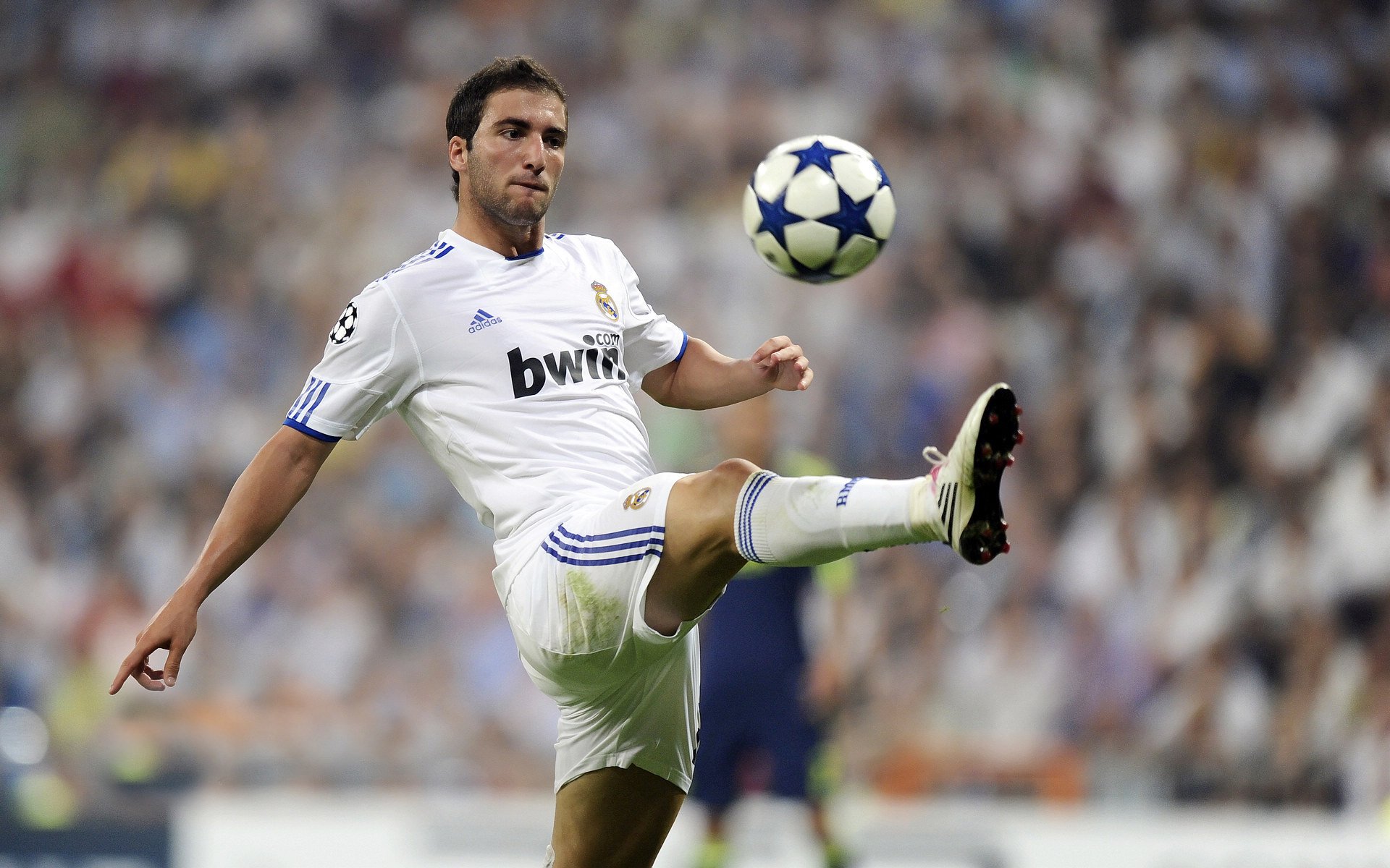 厄瓜多尔节奏掌控希腊,德里赫特成为关键先生—一场战术博弈中的胜负手